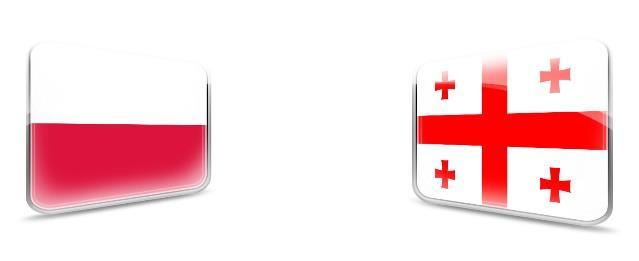 WYMIANA HANDLOWA Z POLSKĄ Suma obrotów towarowych między Polską i Gruzją w 2016 r. (wg danych MR RP) wyniosła 126,1 mln USD (spadek o 3,5% r/r).