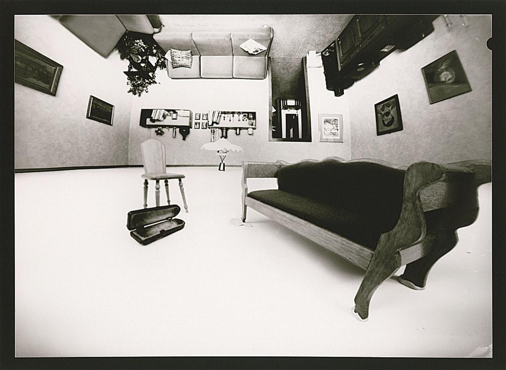 from Palingenesis series, pinhole photography, silver