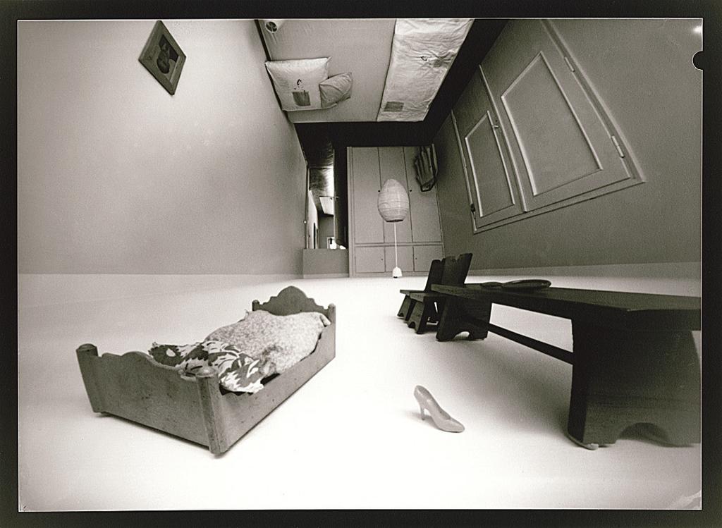 from Palingenesis series, pinhole photography, silver
