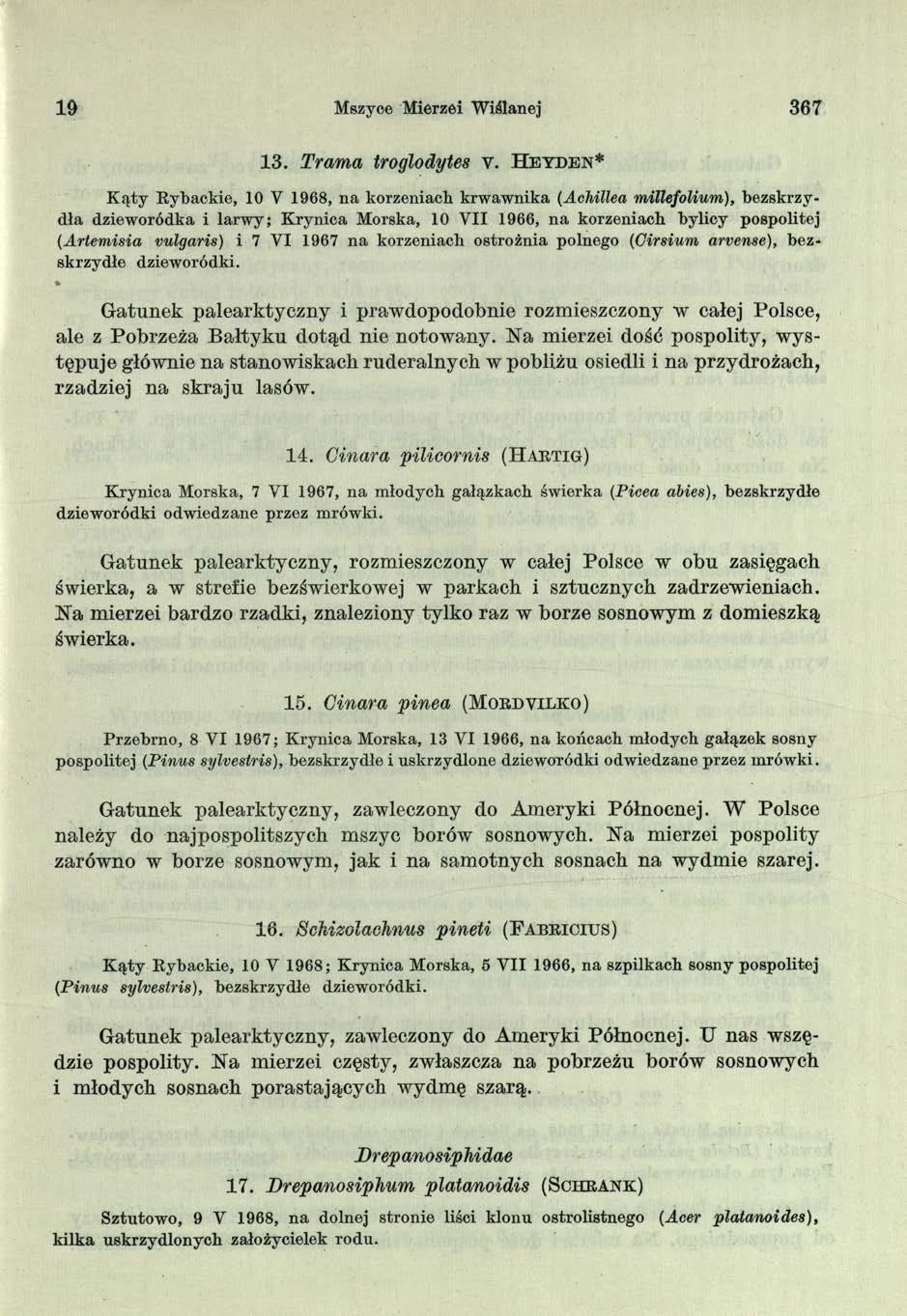 19 Mszyce M ierzei W iślanej 367 13. Trama troglodytes v.