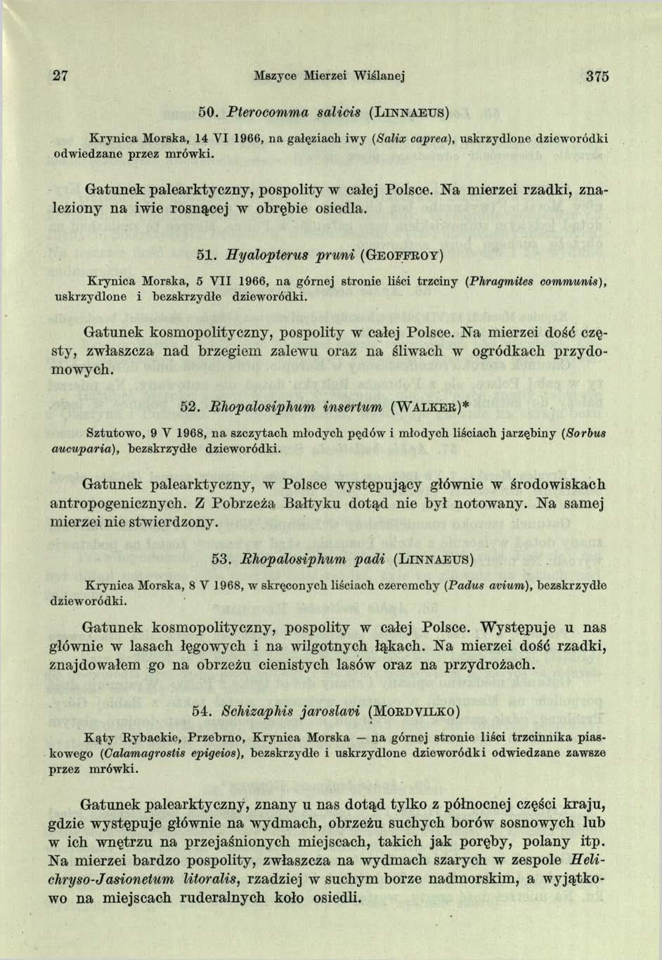 27 Mszyce Mierzei Wiślanej 375 50. Pterocomma salicis ( L i n n a e u s ) K rynica Morska, 14 VI 1966, na gałęziach iwy (Salix caprea), uskrzydlone dzieworódki odwiedzane przez mrówki.