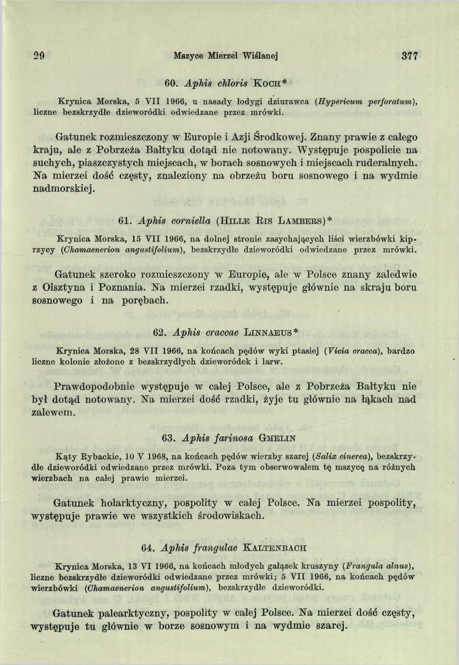 29 Mszyce Mierzei W iślanej 377 60. Aphis chloris K o c h * K rynica Morska, 5 V II 1966, u nasady łodygi dziurawca (Hypericum perforatum), liczne bezskrzydłe dzieworódki odwiedzane przez mrówki.