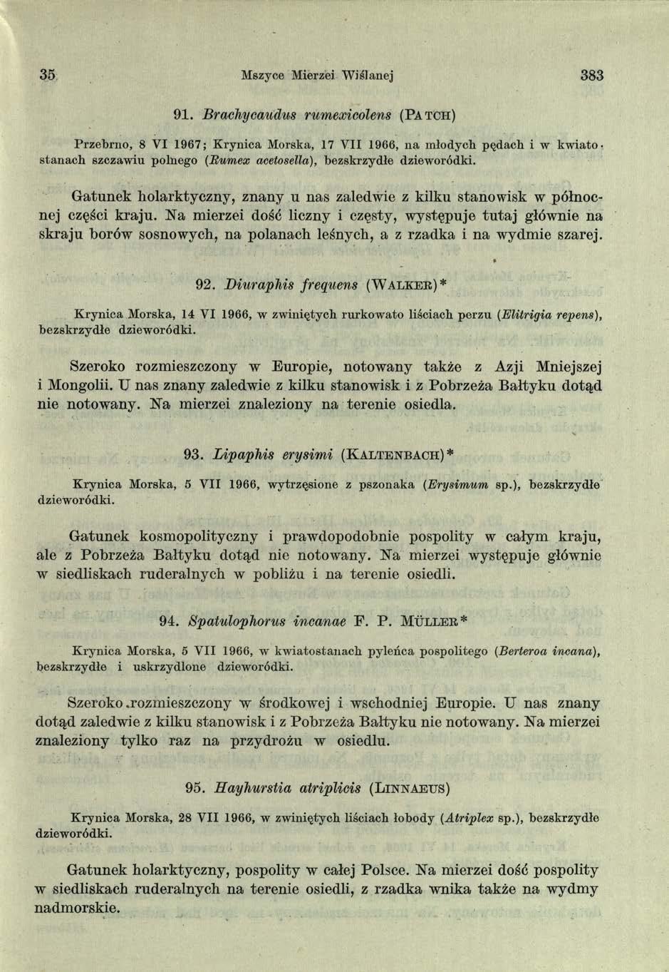 35 Mszyce Mierzei W iślanej 383 9 1.