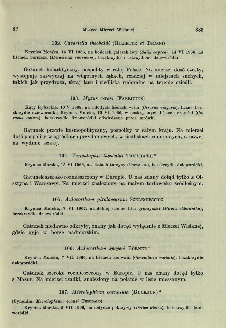 37 Mszyce Mierzei W ita n e j 385 1 0 2.