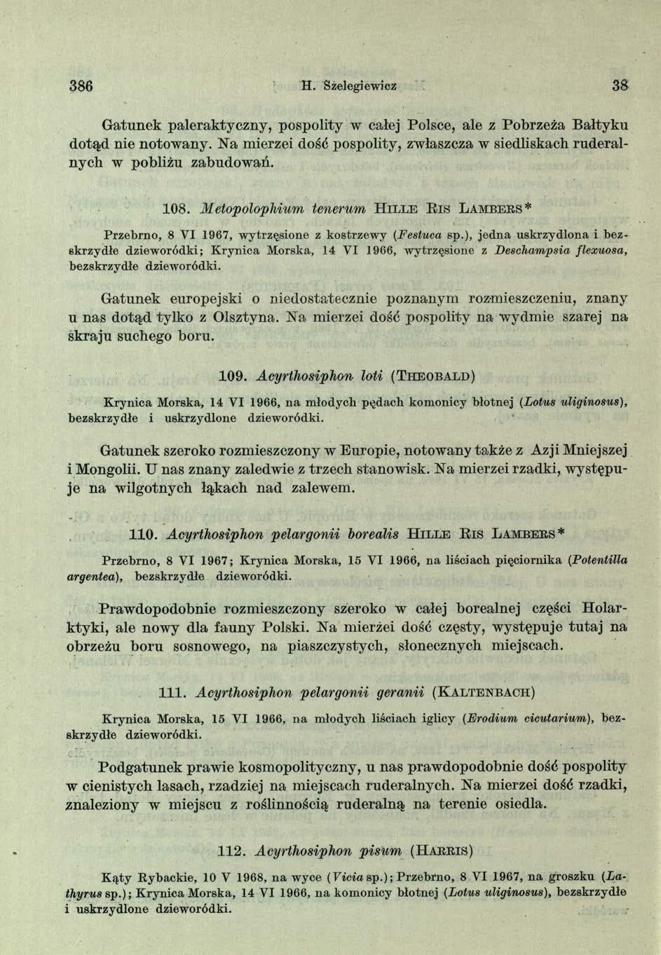 386 H. Sżelegiewicz 38 Gatunek paleraktyczny, pospolity w całej Polsce, ale z Pobrzeża Bałtyku dotąd nie notowany. Na mierzei dość pospolity, zwłaszcza w siedliskach ruderalnych w pobliżu zabudowań.