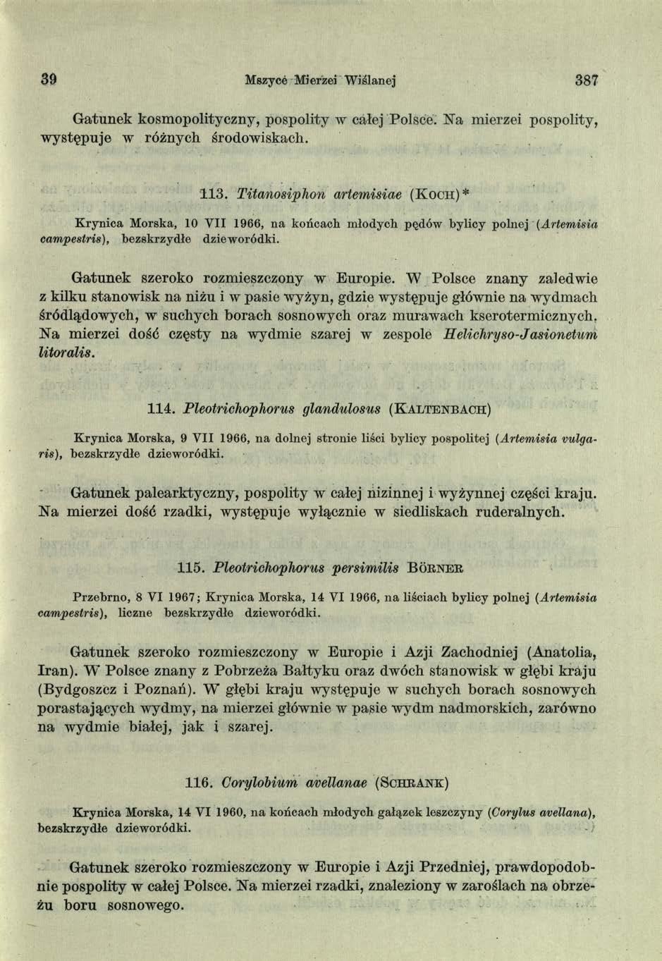 39 Mszyce Mierzei Wiślanej 387 Gatunek kosmopolityczny, pospolity w całej Polsce. Na mierzei pospolity, w ystępuje w różnych środowiskach. 1 1 3.
