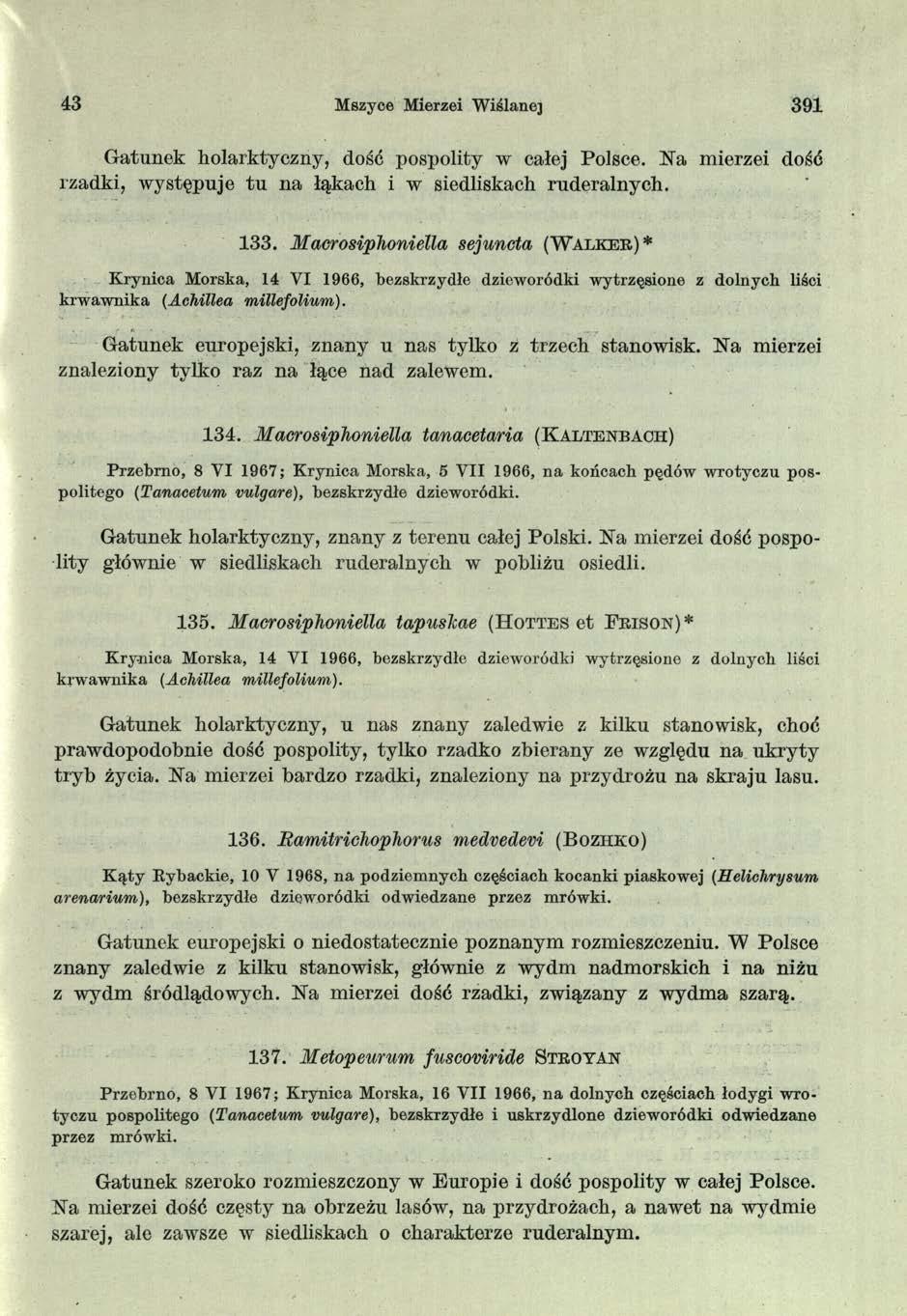 43 Mszyce Mierzei W iślane] 391 Gatunek holarktyczny, dość pospolity w całej Polsce. Na mierzei dość rzadki, występuje tu na łąkach i w siedliskach ruderalnych. 133.