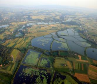 ton Produkcja materiału obsadowego i zarybieniowego ok. 9,3 tys. ton Liczba produkowanych gatunków ryb konsumpcyjnych 22 Udział w ogólnej produkcji ok.