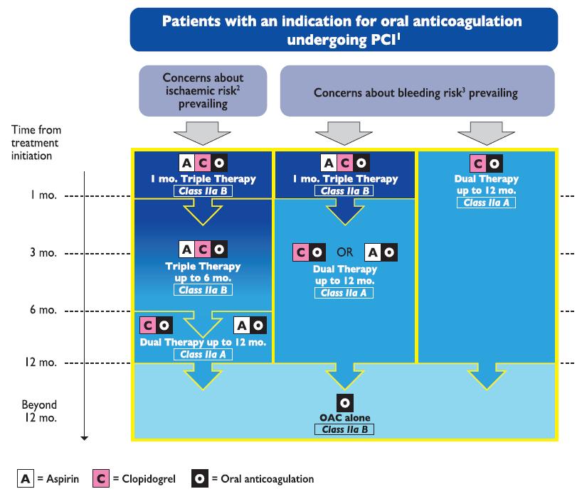 Potrójne leczenie przeciwkrzepliwe (AF, zastawka) ESC AF 2016 planowa PCI w CAD + duże ryzyko krwawienia Alternatywnie podwójne leczenie tylko do 6-mcy EHJ 2017 Okołozabiegowo zawsze A + C, ryzyko