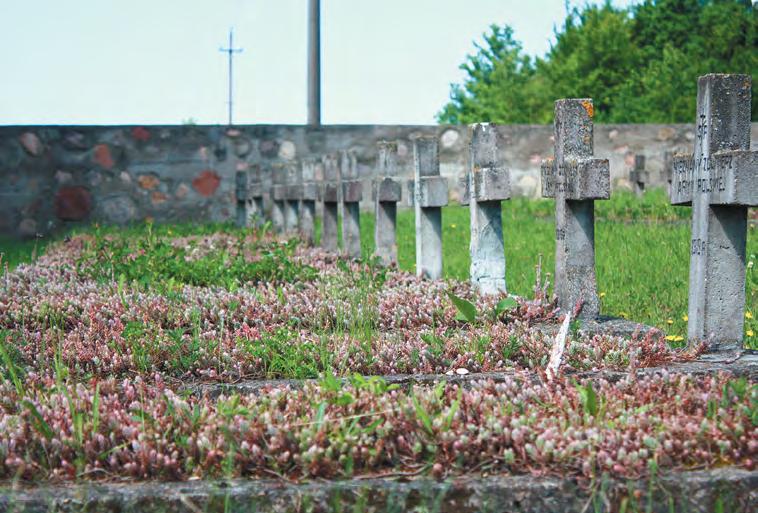 HISTORIA WSPOMNIENIA Na Polskim Cmentarzu Wojskowym w Wołkowysku rycznymi, tu i teraz.
