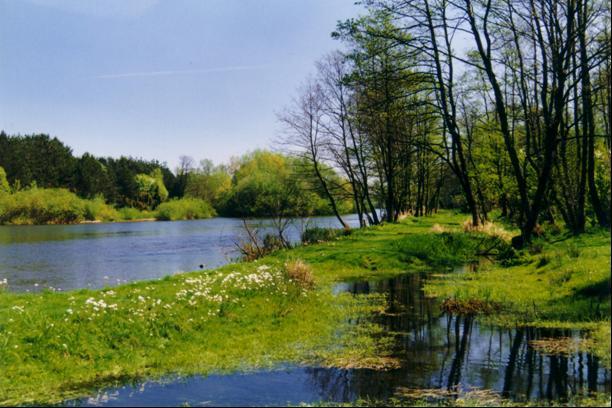 61 Rozdział III Metodyka poboru wielosiedliskowych próbek makrobezkręgowców bentosowych (RIVECOmacro) w rzekach dużych i trudnodostępnych