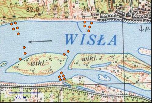 66 Ryc. 18. Wisła w okolicy Czerwińska przykładowe rozmieszczenie miejsc pobierania próbek cząstkowych w dużej rzece wielokorytowej (opracował: R.