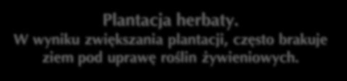 gospodarstw Skutki negatywne wyjałowienie gleby w wyniku prowadzenia upraw jednego gatunku roślin zwiększenie