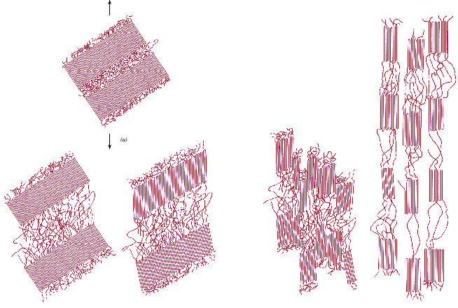 Mechanizm odkształceń plastycznych w polimerach semikrystalicznych Model struktury włókna poliestrowego podczas rozciągania Mechanizm łańcuchy ślizgają się po sobie (pozwala na to obrót wiązań)