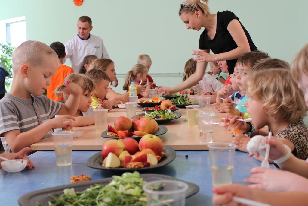 Wyżywienie (drugie śniadanie, dwudaniowy obiad i podwieczorek) - śniadania przygotowywane są ze świeżych i zdrowych produktów w formie szwedzkiego stołu - obiady przywożone są w opakowaniach