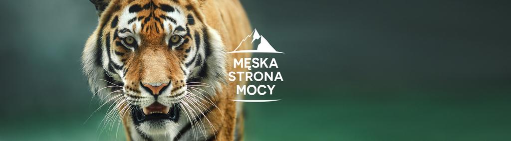 O warsztacie Męska Strona Mocy: Na warsztacie Męska Strona Mocy będziesz pracować nad relacją z samym sobą i nauczysz się mądrego budowania związków z kobietami.