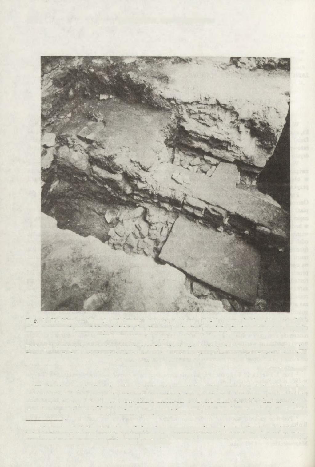 310 JANUSZ FIR LET, ZBIGNIEW PIANOWSKI Ryc. 1. Kraków Wawel, dziedziniec Batorego. Wykop 1/87-88. Ława fundamentowa podpór międzynawowych romańskiego kościoła Św.