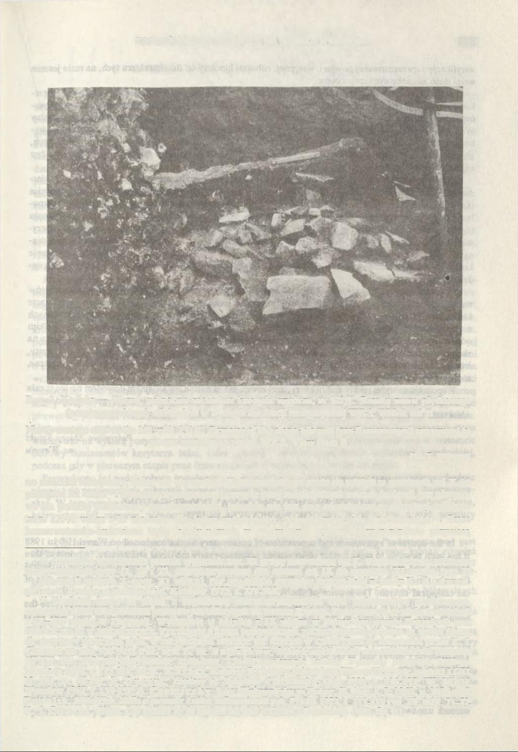 Z BADAŃ ARCHEOLOGICZNYCH NA WAWELU W ROKU 1988 313 Ryc. 3. Kraków Wawel, północno-zachodnia krawędź wzgórza, ár 321/С.