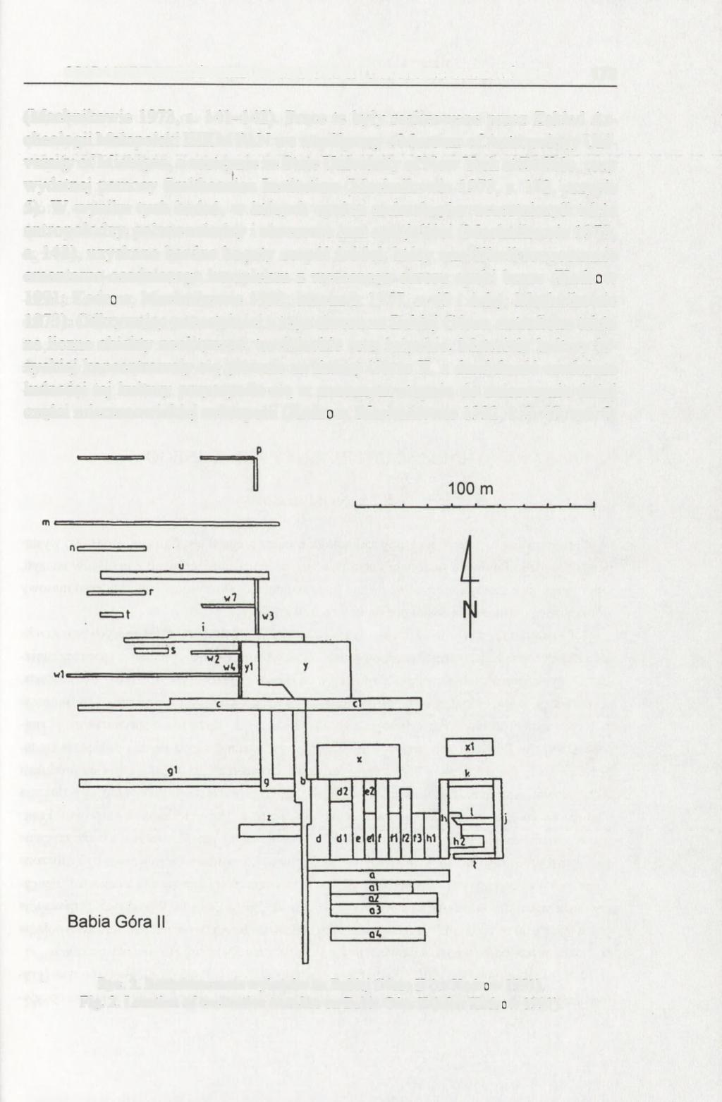 OSADA KULTURY ŁUŻYCKIEJ NA STANOWISKU IWANOWICE-BABIA GÓRA II 173 (Machnikowie 1973, s. 141-142).