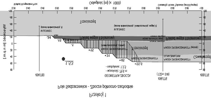 Brodzkie, jednak obszar Natura 2000 obejmuje równie tereny podmok³e w otoczeniu rzeki Wodry zalegaj¹ce nad z³o em.
