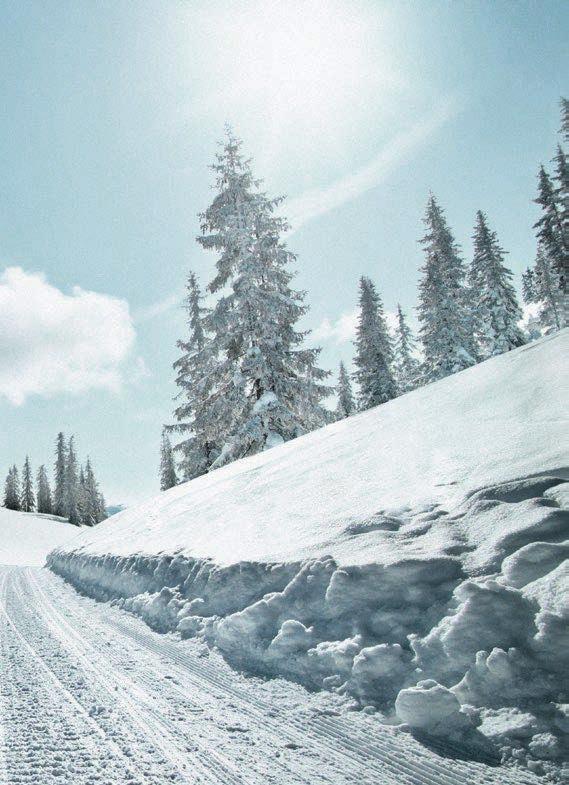 Winter ROZMIAR: 5/65 R6 09/07R Maksymalny nacisk na oś