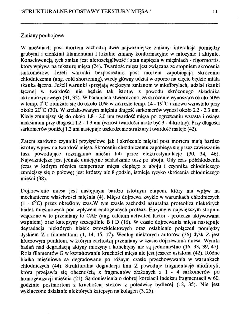 "STRUKTURALNE PODSTAWY TEKSTURY MIĘSA 11 Zmiany poubojowe W mięśniach post mortem zachodzą dwie najważniejsze zmiany: interakcja pomiędzy grubymi i cienkimi filamentami i lokalne zmiany konformacyjne
