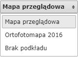 2.4.1 Podkład mapowy W prawej górnej części Panelu widoku mapy znajduje się rozwijalne menu, które umożliwia wyświetlanie różnego