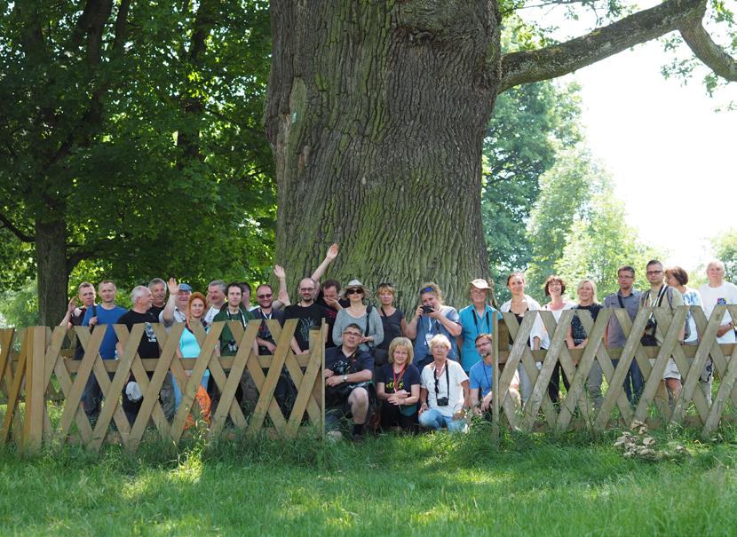 Ryc. 9. Sesja terenowa Walory przyrodnicze i kulturowe Poleskiej Doliny Bugu, 2 lipca 2016, Pod dębem Bolko. Fig. 9. Field session Natural and cultural values of Polesie Bug River Valley, 2 July 2016.
