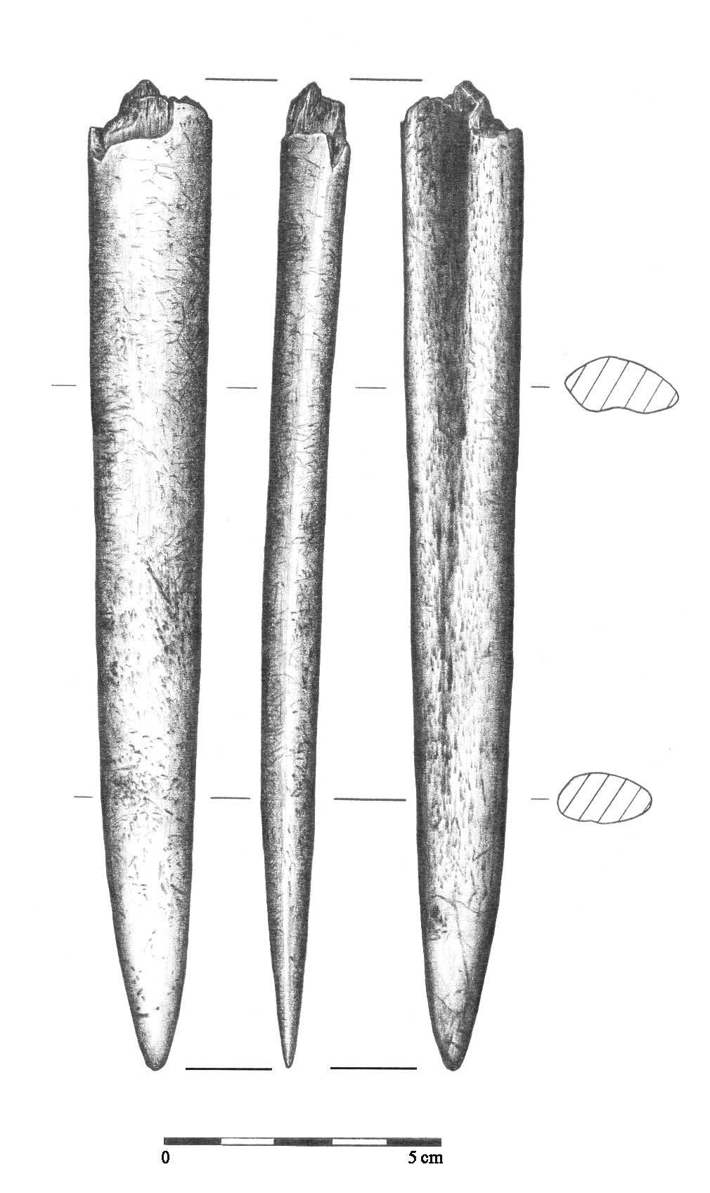Ryc. 49. Kowal, gm. Kowal, stan. 14, obiekt 238. Wyposażenie grobu: ostrze kościane. Rys. B.