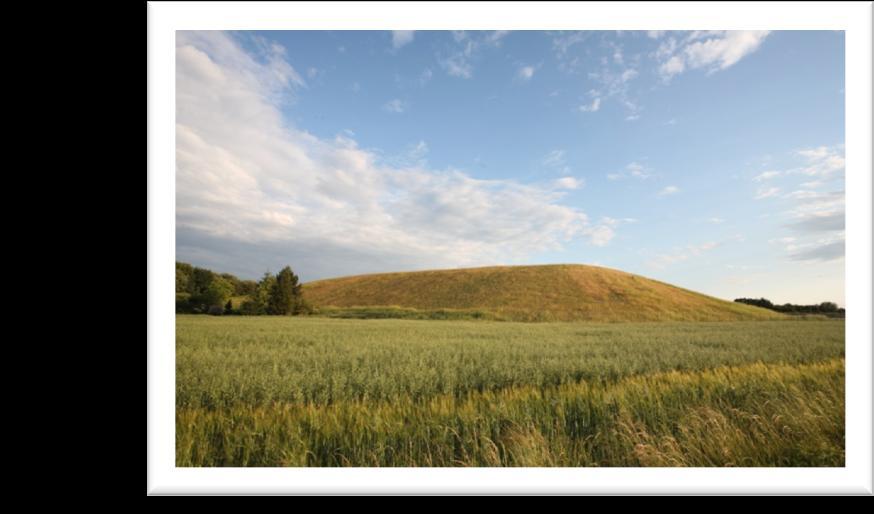 ŚRODOWISKO 3.