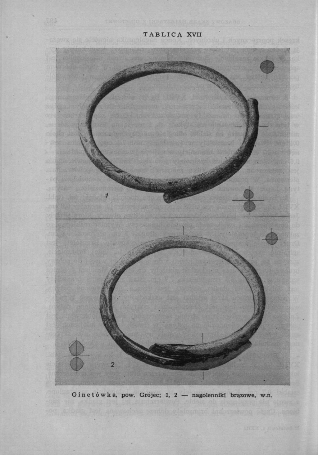 TABLICA XVII Ginetówka, pow.