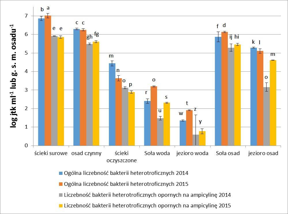 bakterii opornych na ampicylinę wzrósł w ciągu roku z 4,7% do 17,5% w próbkach ścieków oczyszczonych.