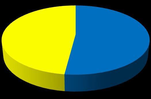 Struktura geograficzna sprzedaży I poł 2011 47,95% 52,05% Kraj Zagranica I poł 2012 Przychody ze sprzedaży (mln