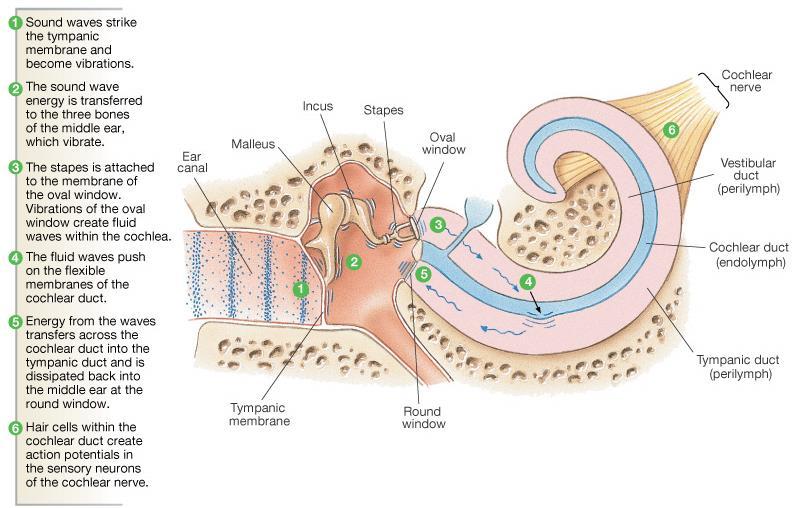 Figure 10-19: Sound