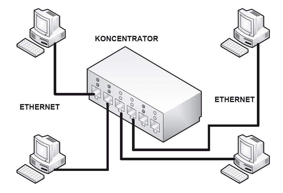 Koncentrator (hub) jest podstawowym urządzeniem sieciowym w topologii gwiazdy. Każde stanowisko sieciowe jest podłączone do koncentratora, który jest centralnym elementem sieci.