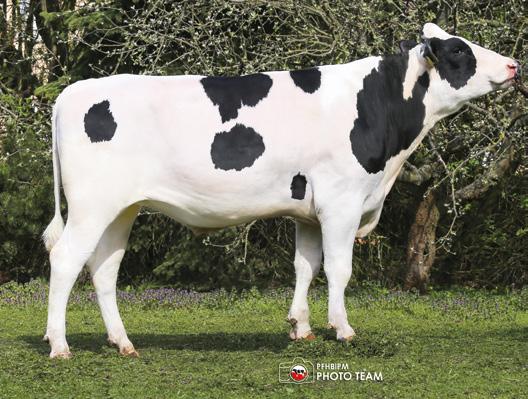 Kategoria: PRODUKCJA SPISEK ET PL005409226501 TL TV Mleko, kg 641 BASBOR PL005317191342 TL TV Mleko, kg 683 Białko 28,9 kg 0,10 % Białko 29,2 kg 0,09 % Urodzony: 25.01.2014, Hodowca: Ośrodek ET w Piątnicy Tłuszcz 64,8 kg 0,49 % Urodzony: 03.