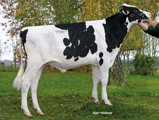 Kategoria: POKRÓJ ERIKSON CA11991369 TL TV ogólny pokroju 135 JEIRAKI FR2279421648 TL TV ogólny pokroju 135 wymienia 135 wymienia 134 Urodzony: 20.10.