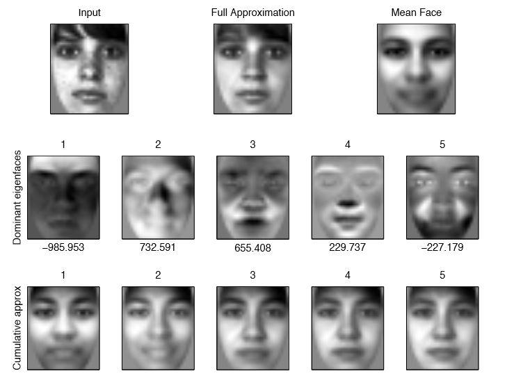 4. Eigenfaces Rysunek 3.