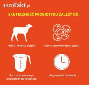 .pl https://www..pl Warto pamiętać, od czego zależy skuteczność probiotyku.