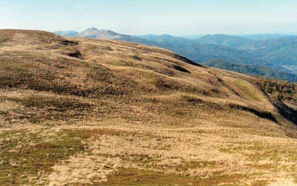 Budowa geologiczna i rzeźba terenu 195 Ryc. 6.14. Osuwisko na Szerokim Wierchu (fot. J. Kukulak) Ryc. 6.15. Czynne osuwisko na połoninie pod szczytem Halicza (fot. G. Haczewski, październik 2008 r.