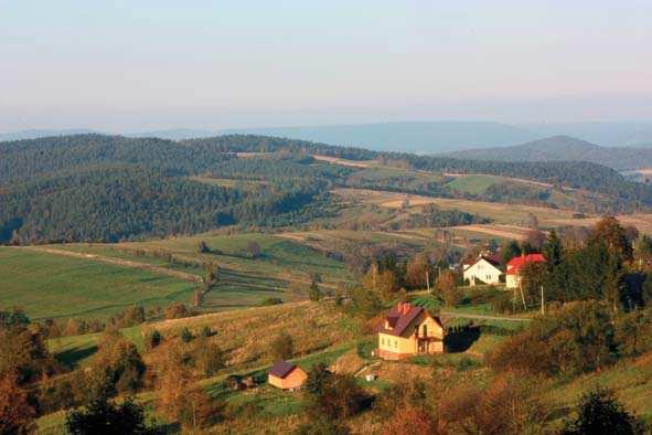 Budowa geologiczna i rzeźba terenu 201 rumowiska skalne tzw. rozsypańce (m.in. na Krzemieniu, Tarnicy, wokół szczytu Roha i Kopy Osadzkiej na Połoninie Wetlińskiej). Ryc. 6.21.