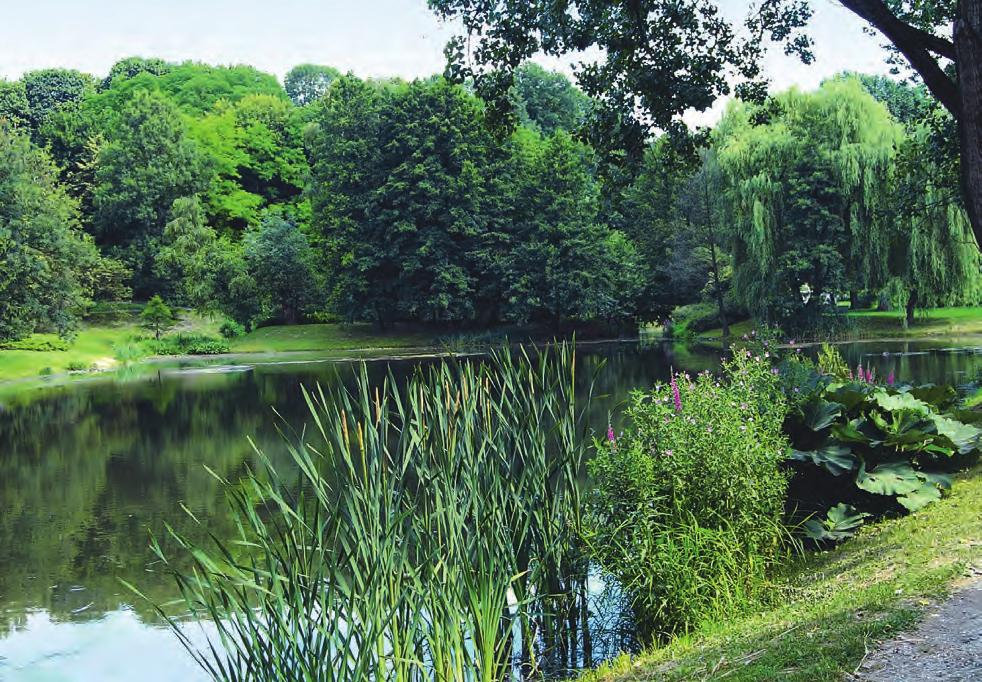 Characteristics of water and wetland plants of the water reservoirs in the UMCS Botanical Garden in Lublin, Poland 45 Table The share of life forms and geographicalhistorical groups in the