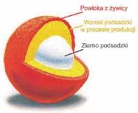 46 PRZEGLĄD GÓRNICZY 2014 w dalszej części artykułu mogą być dodatkowo pokrywane żywicą. Przykładowe pokrycie podsadzki powłoką żywicową przedstawia rysunek 2 [2, 10]. Rys. 2. Przykładowe pokrycie ziarna podsadzki powłoką z żywicy [2, 10] Fig.