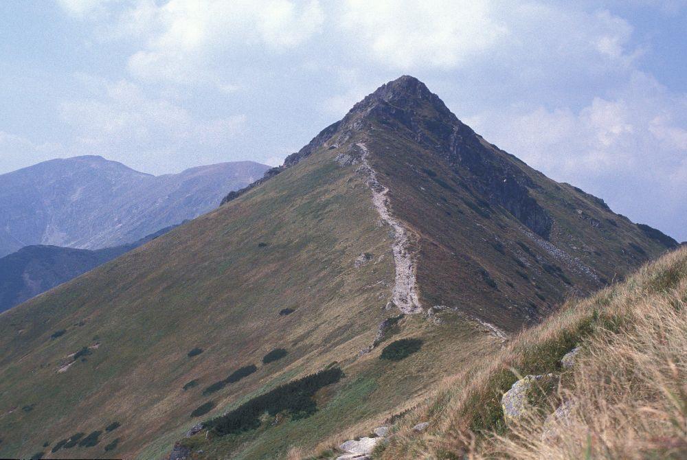 Piętro halne (alpejskie) Spotyka się go tylko w Tatrach, na Babiej Górze i w Karkonoszach.