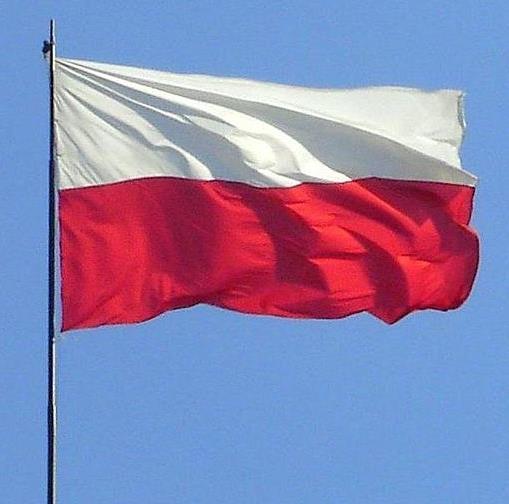 konsultacja projektów związanych z oświatą polską poza granicami RP doskonalenie form konsultacji nauczycieli w krajach nordyckich, w Polsce oraz innych krajach propagowanie nauki przedmiotów