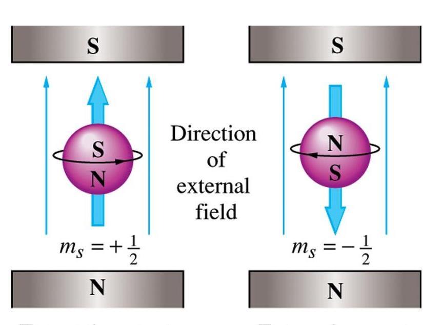 George Uhlenbeck i Samuel Goudsmit (w 1926r) stwierdzili, że elektron posiada własne pole magnetyczne zachowując się jak