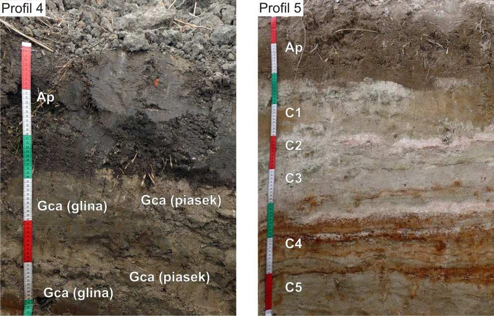 Łukasz Mendyk i inni W najbliższym otoczeniu dawnego dna jeziora znajdują się gleby mineralnoorganiczne i mineralne: gleby deluwialne, czarne ziemie i pararędziny (ryc. 5 7).