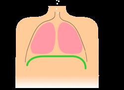 Tlen pierwiastek chorób i śmierci Negatywne działanie tlenu na organizm ludzki: uszkodzenie płuc prowadzące do ich zwłóknienia: uszkodzenie pęcherzyków