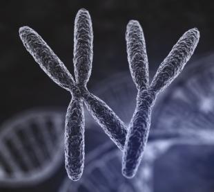 AJWEN RADZI 31 Metylacji ulegaj¹ nie tylko DNA i RNA, ale równie bia³ka, neurotransmitery i fosfolipidy. lawinowo zaczęła wzrastać liczba dzieci z autyzmem. W 1975 r.