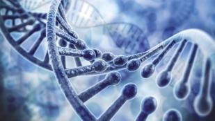AJWEN RADZI 33 rozbudowany, można go wykonać w USA, np. w 23andme. W Polsce dostępne są jedynie badania polimorfizmu genów: MTHFR C677T oraz A1298C.